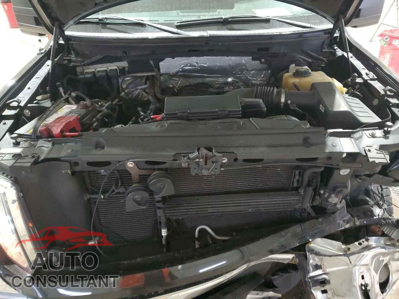 FORD F-150 2013 - 1FTFX1EFXDFC45934