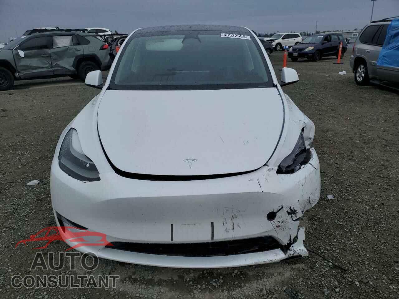 TESLA MODEL Y 2023 - 7SAYGDEE7PF660738