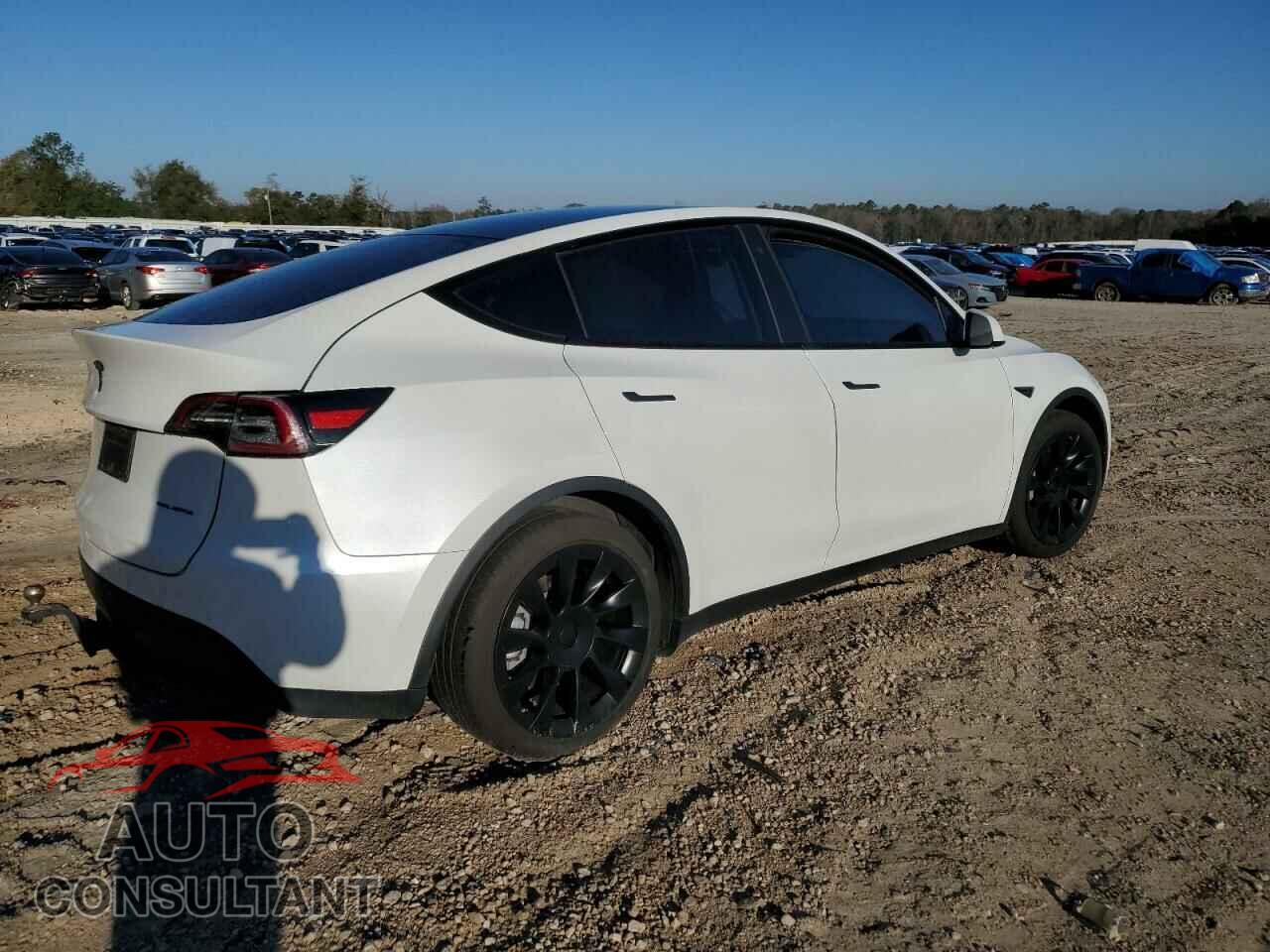TESLA MODEL Y 2020 - 5YJYGDEE2LF034005