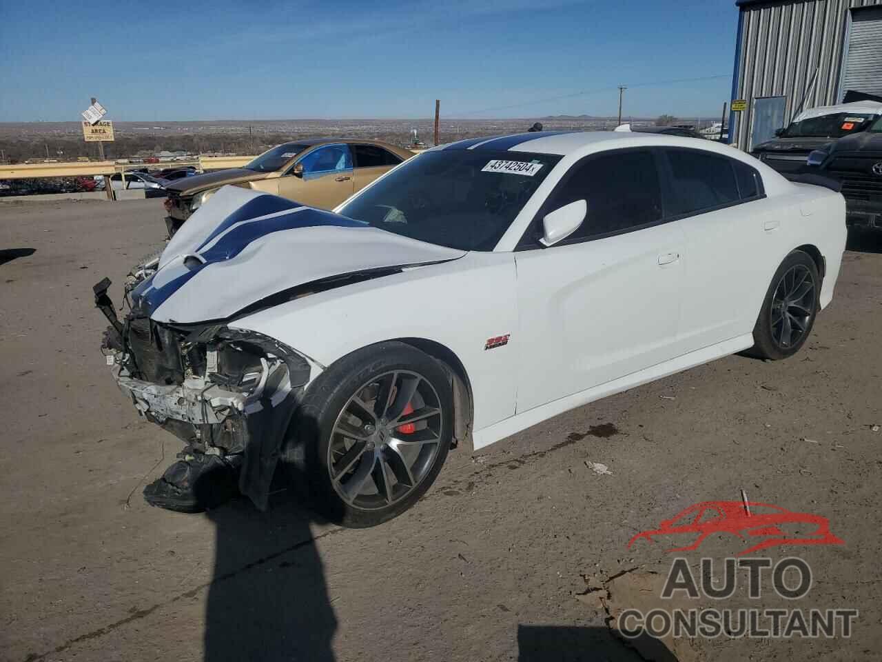 DODGE CHARGER 2017 - 2C3CDXGJ3HH615517