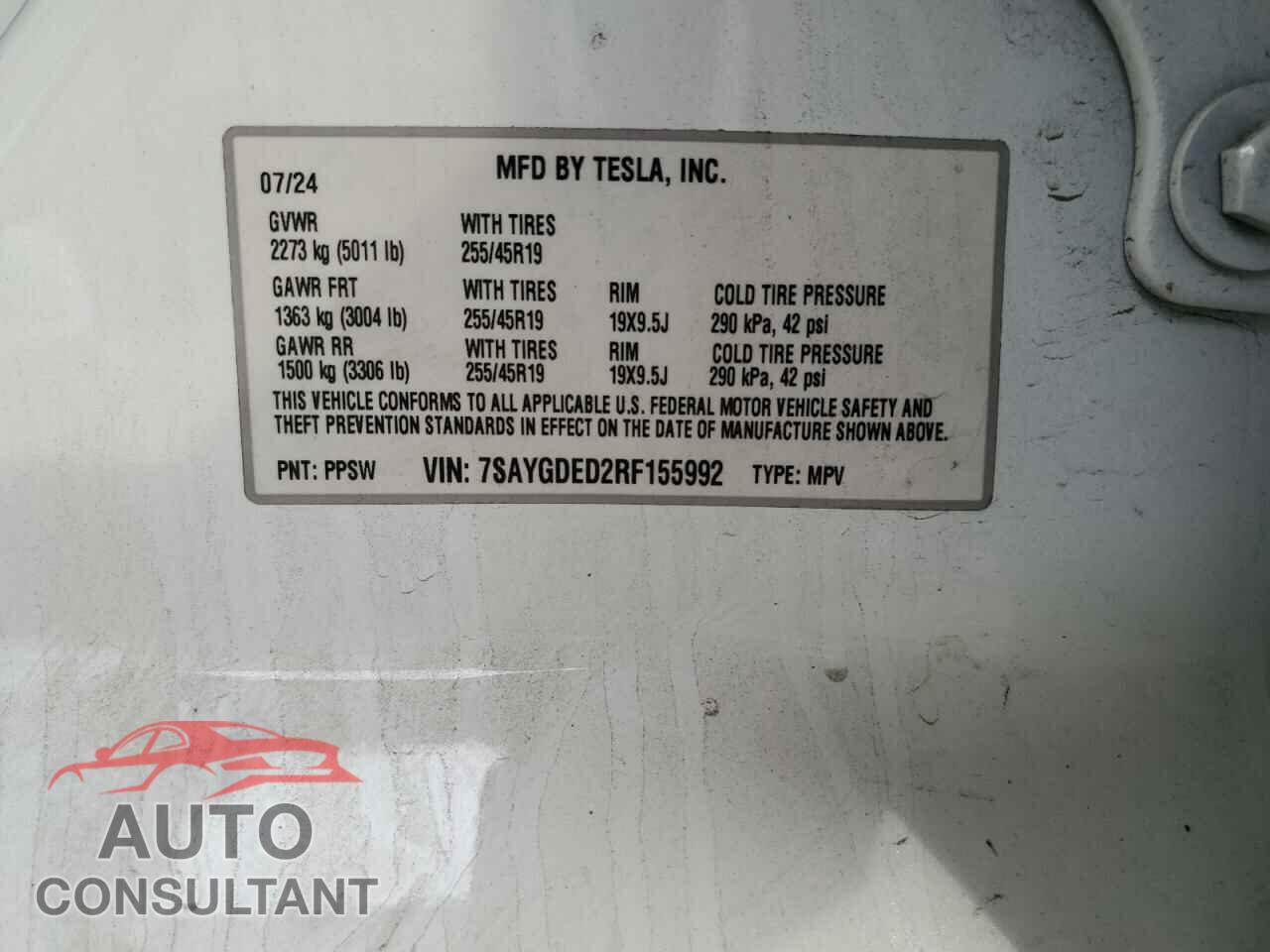 TESLA MODEL Y 2024 - 7SAYGDED2RF155992