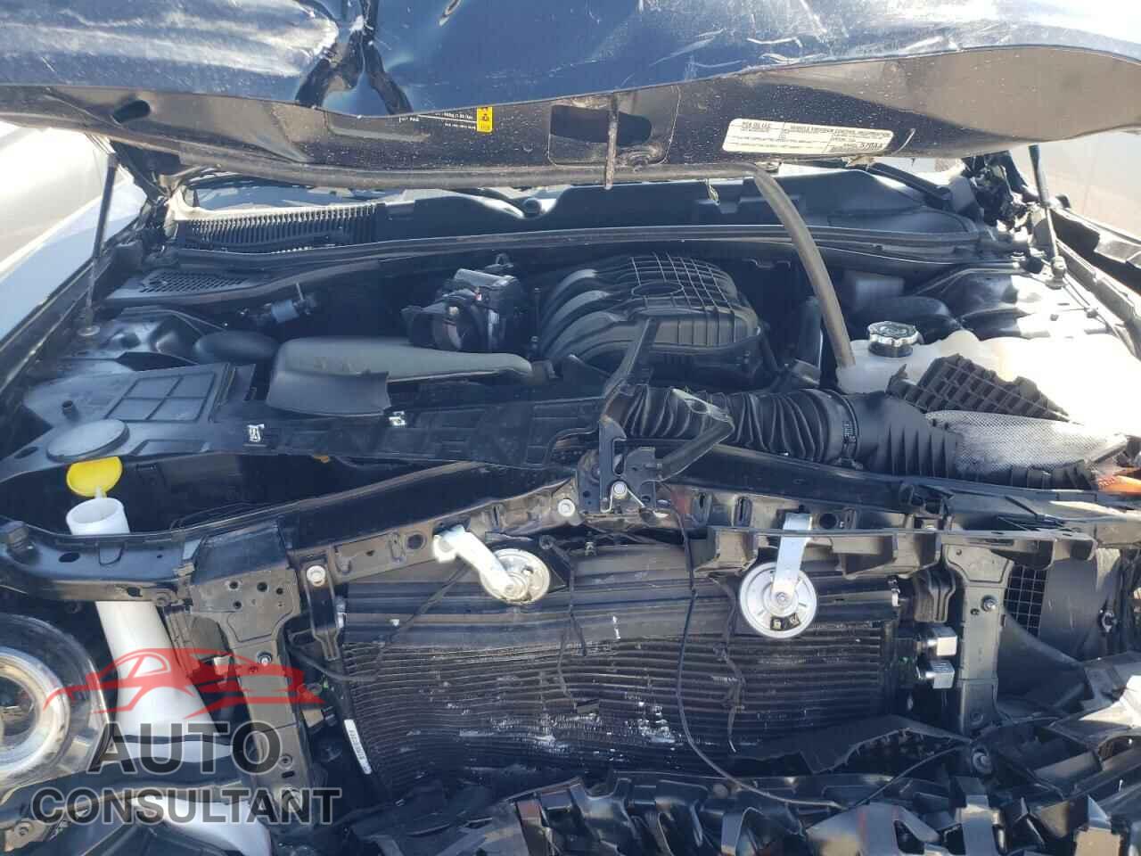 DODGE CHALLENGER 2021 - 2C3CDZAG2MH676165