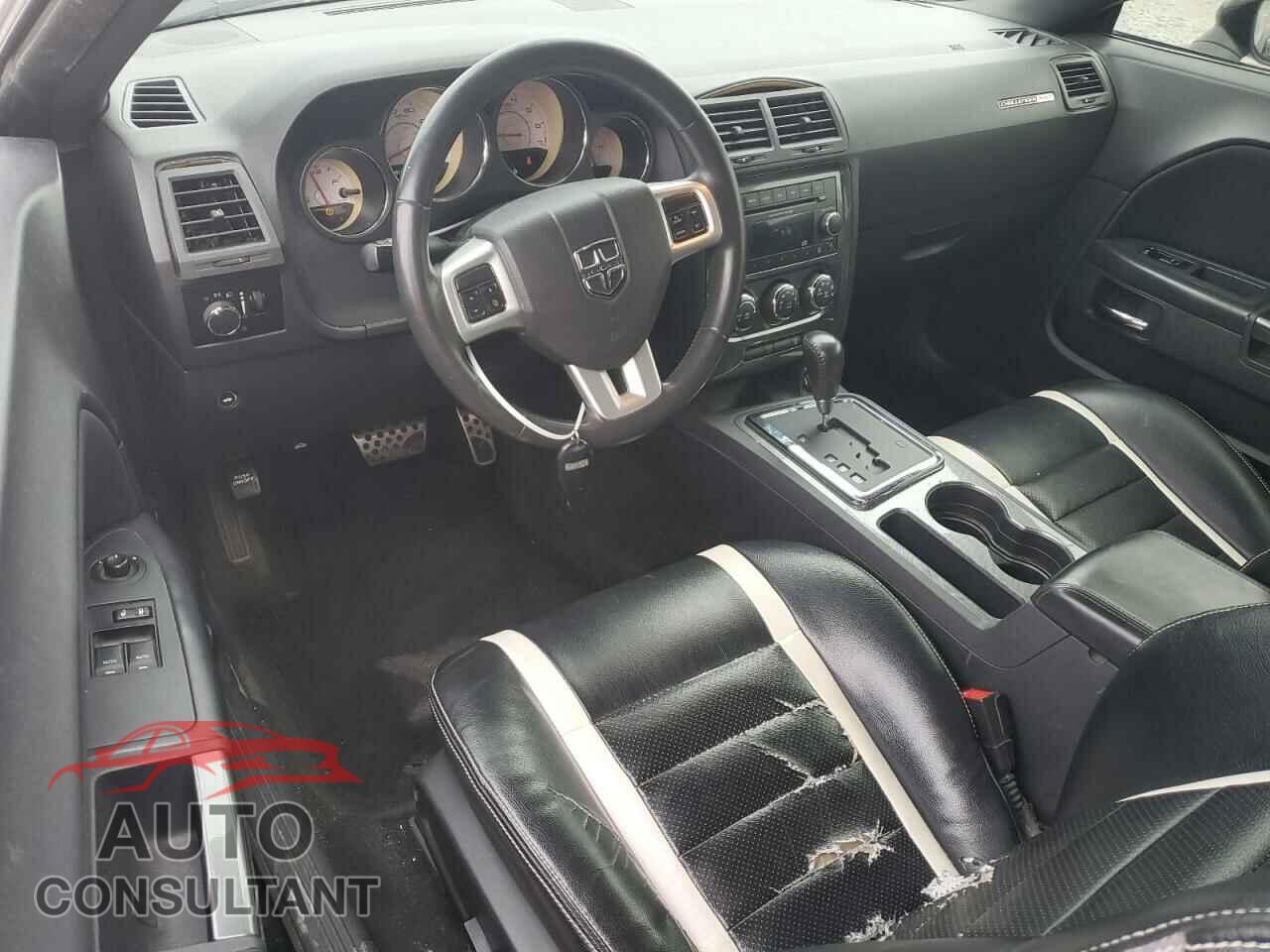 DODGE CHALLENGER 2013 - 2C3CDYAG2DH719221