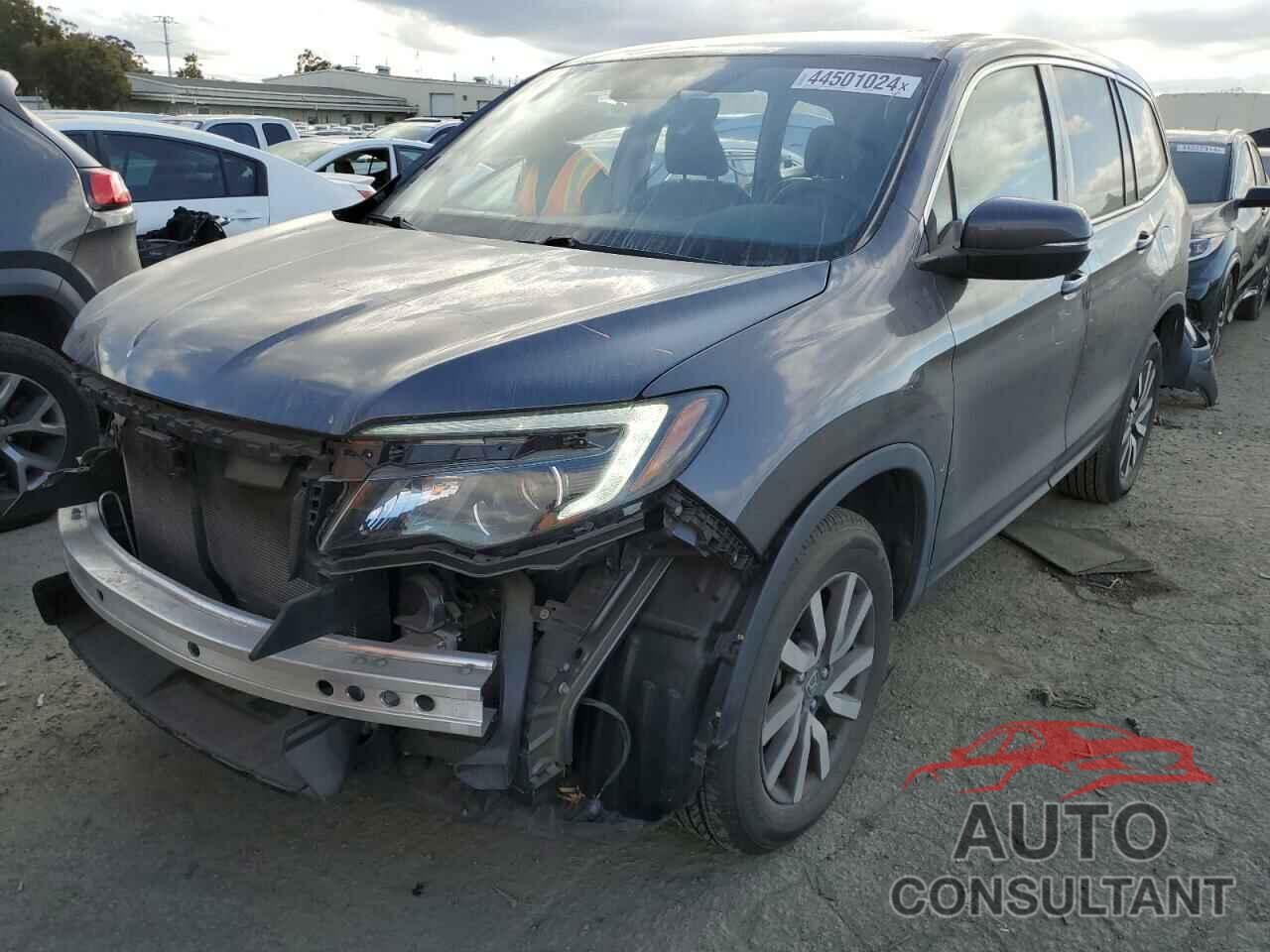 HONDA PILOT 2019 - 5FNYF6H52KB045918