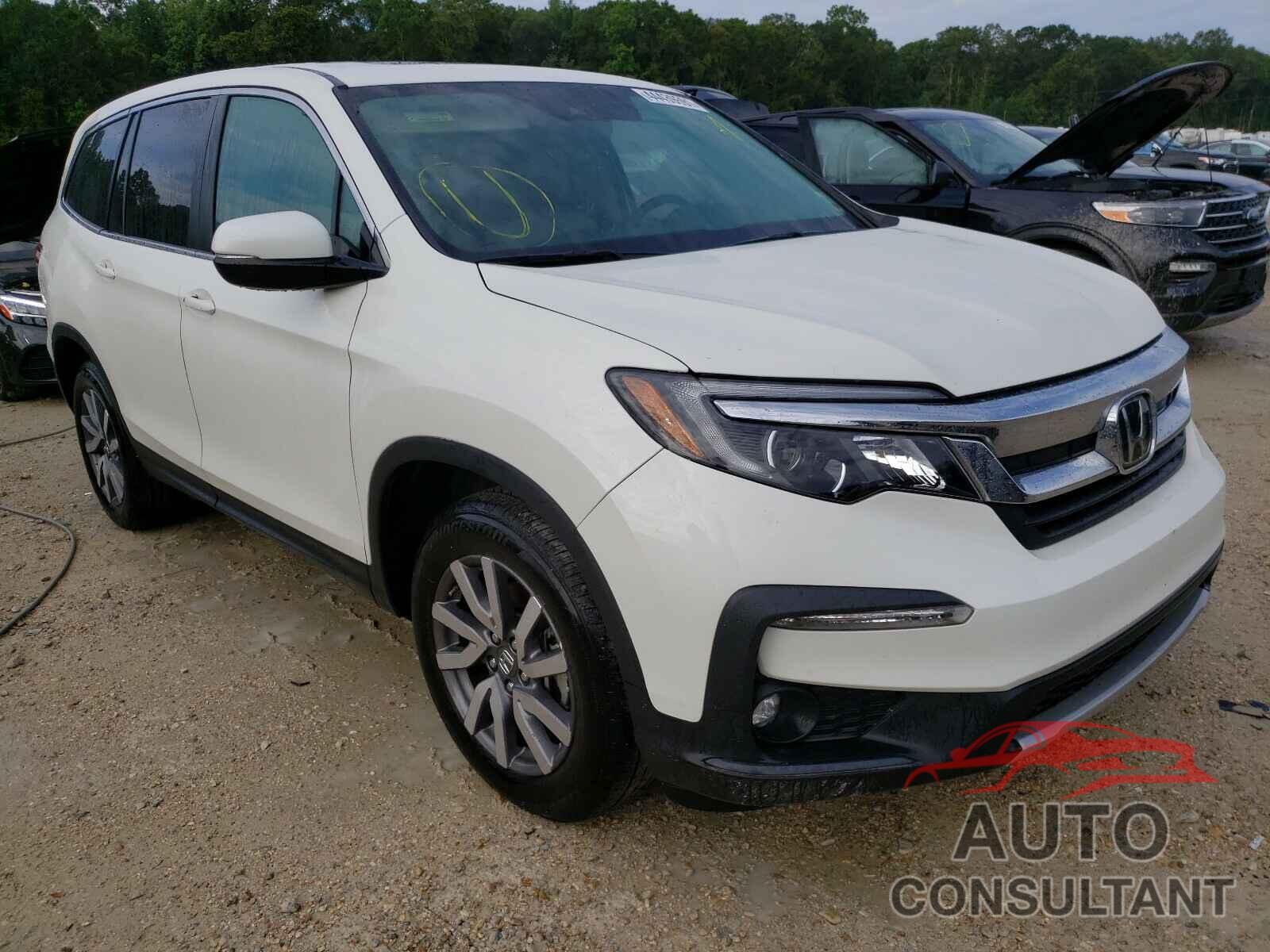 HONDA PILOT 2019 - 5FNYF5H50KB018095