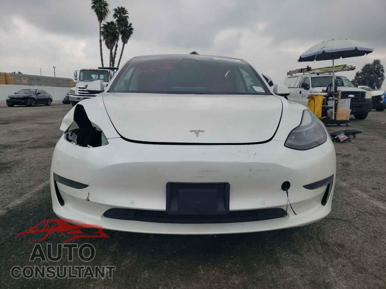 TESLA MODEL 3 2021 - 5YJ3E1EA1MF941387