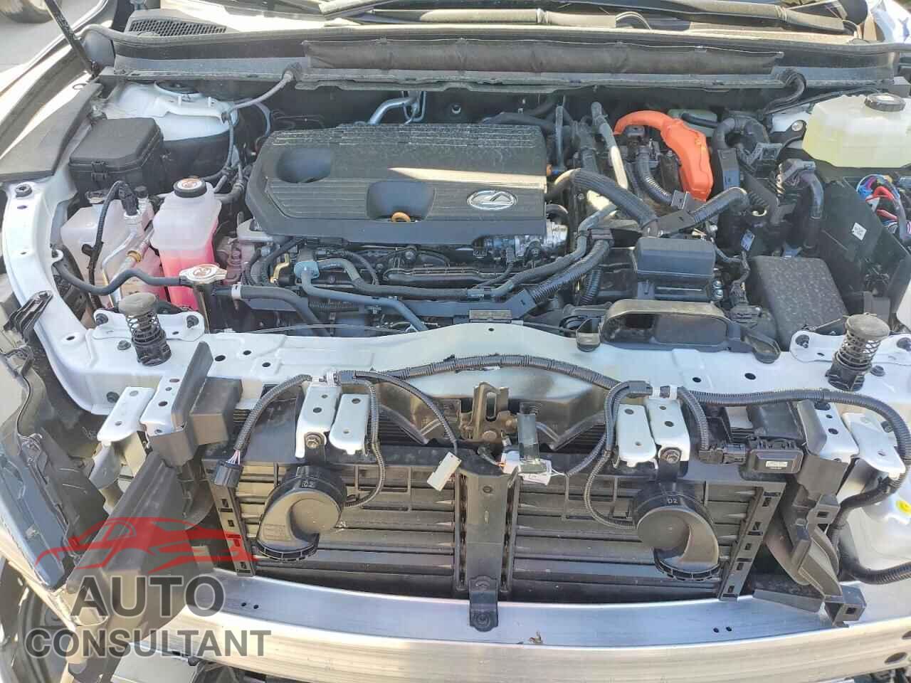 LEXUS UNKNOWN 2025 - 2T2BBMCA1SC101342