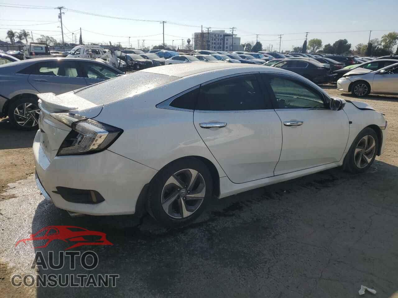 HONDA CIVIC 2016 - 2HGFC2F65GH551735