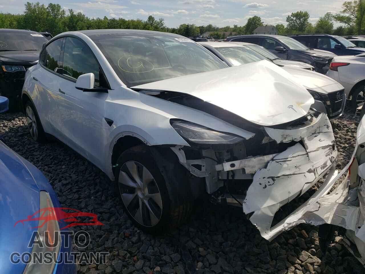 TESLA MODEL Y 2021 - 5YJYGDEE5MF072717
