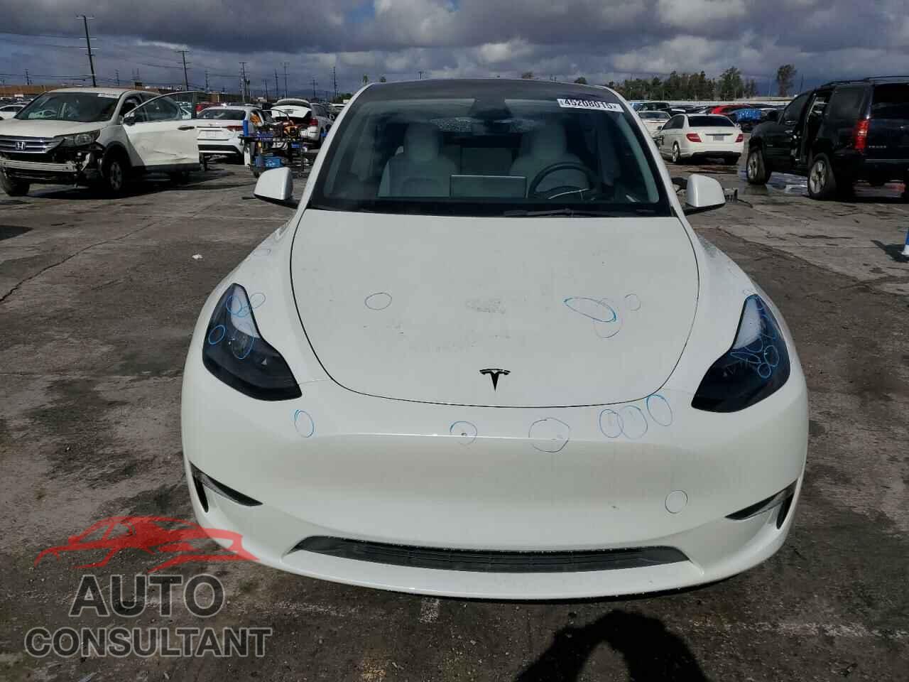 TESLA MODEL Y 2023 - 7SAYGDEE7PF868005