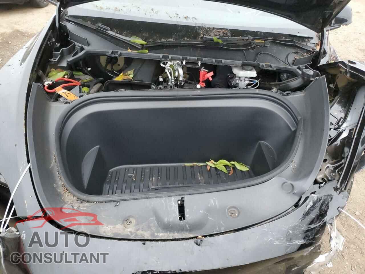 TESLA MODEL Y 2024 - 7SAYGDED2RF028899