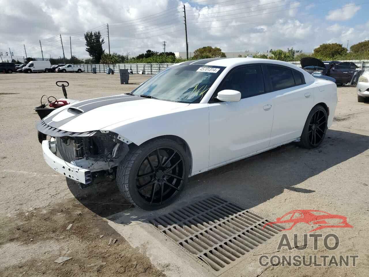 DODGE CHARGER 2019 - 2C3CDXGJ1KH707975