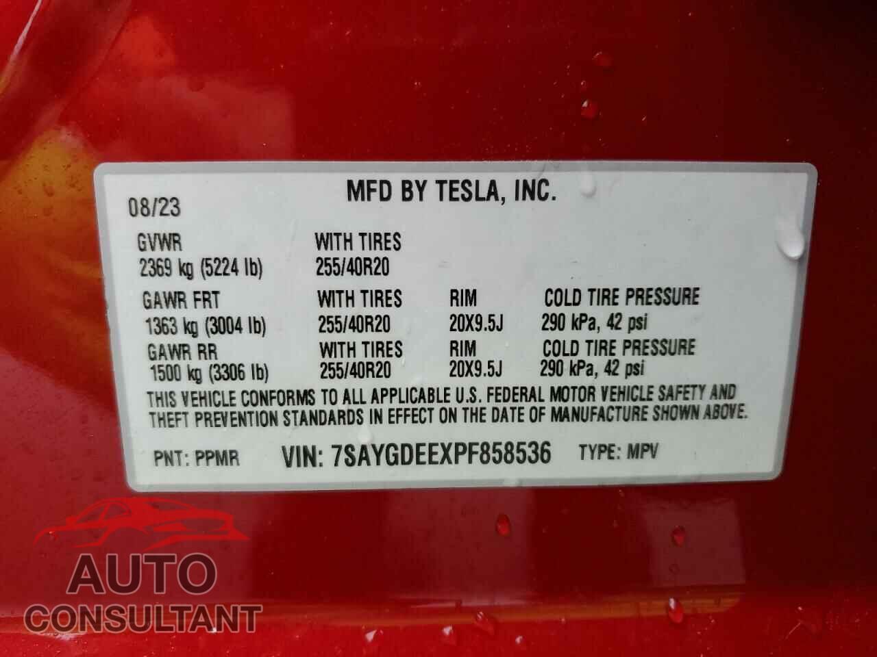TESLA MODEL Y 2023 - 7SAYGDEEXPF858536