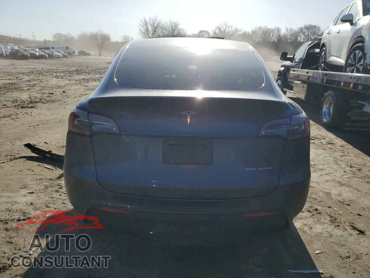 TESLA MODEL Y 2022 - 7SAYGDEE7NF451254