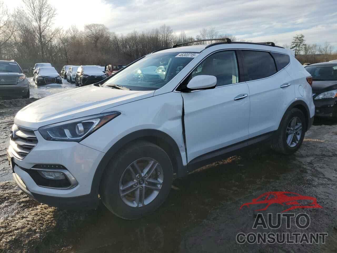 HYUNDAI SANTA FE 2017 - 5NMZUDLB3HH011764