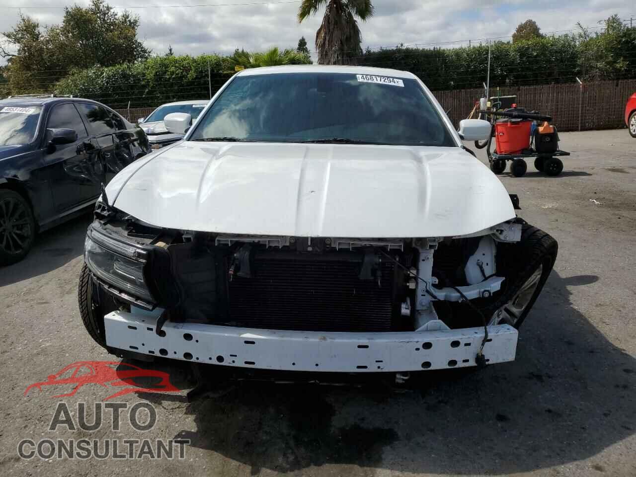 DODGE CHARGER 2019 - 2C3CDXBG8KH695478