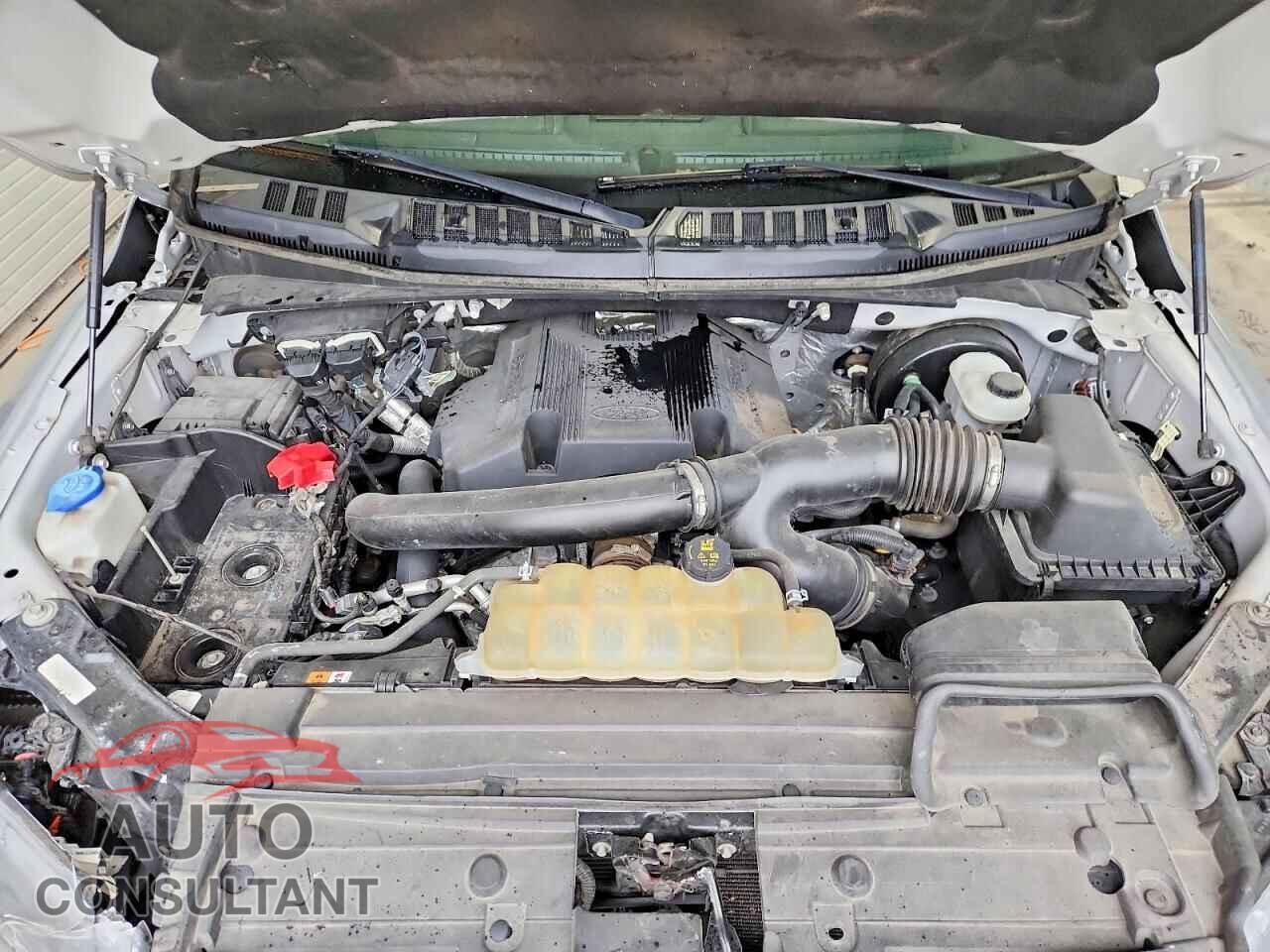 FORD F150 2019 - 1FTEW1C41KFB83532