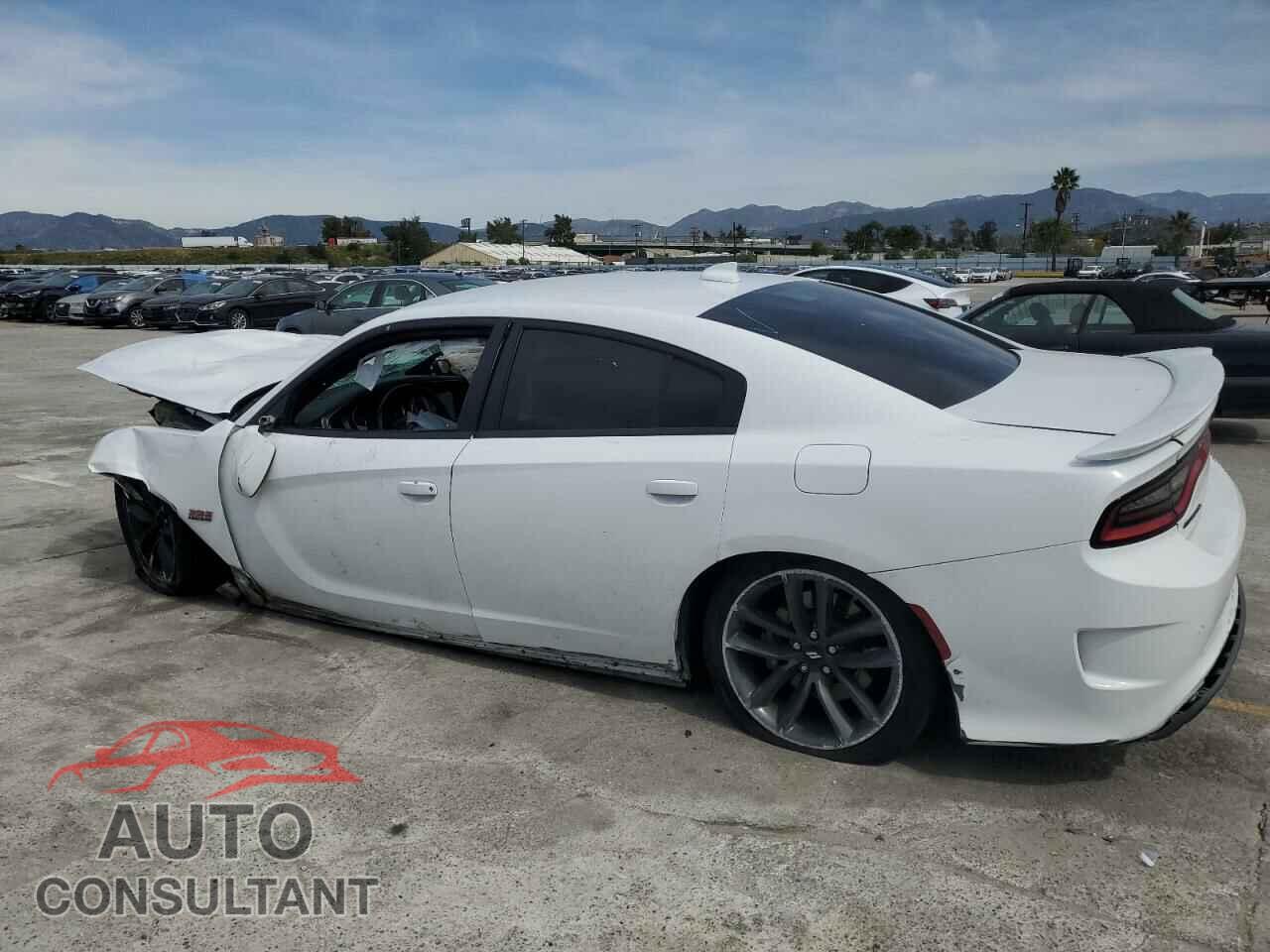 DODGE CHARGER 2019 - 2C3CDXGJ3KH635645