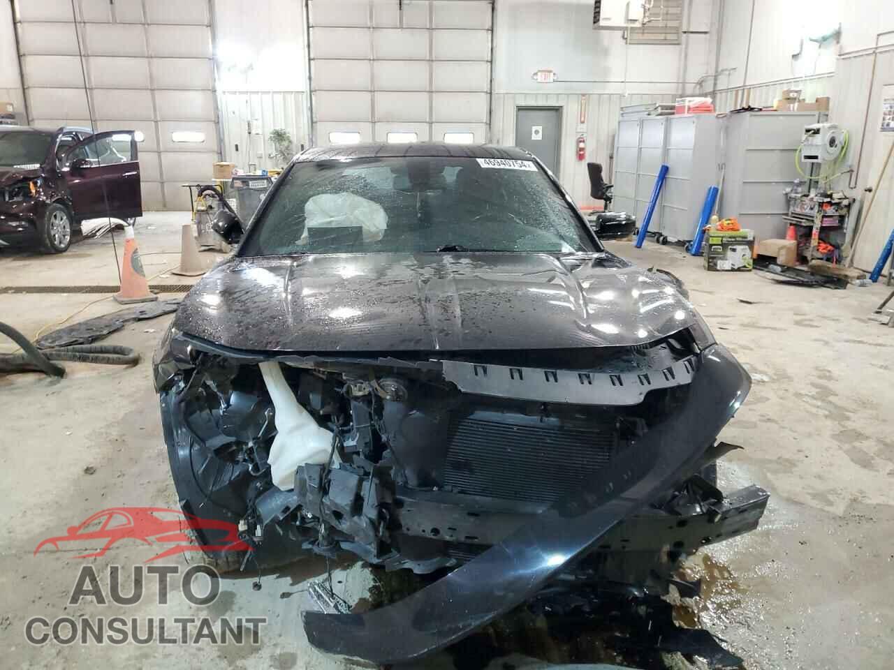 DODGE CHARGER 2019 - 2C3CDXJG7KH653854