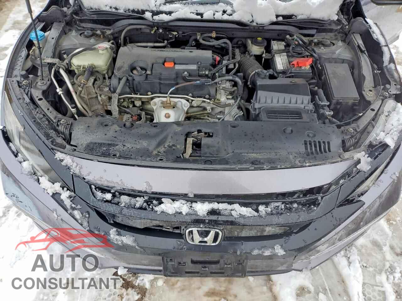 HONDA CIVIC 2019 - 2HGFC2F54KH022518