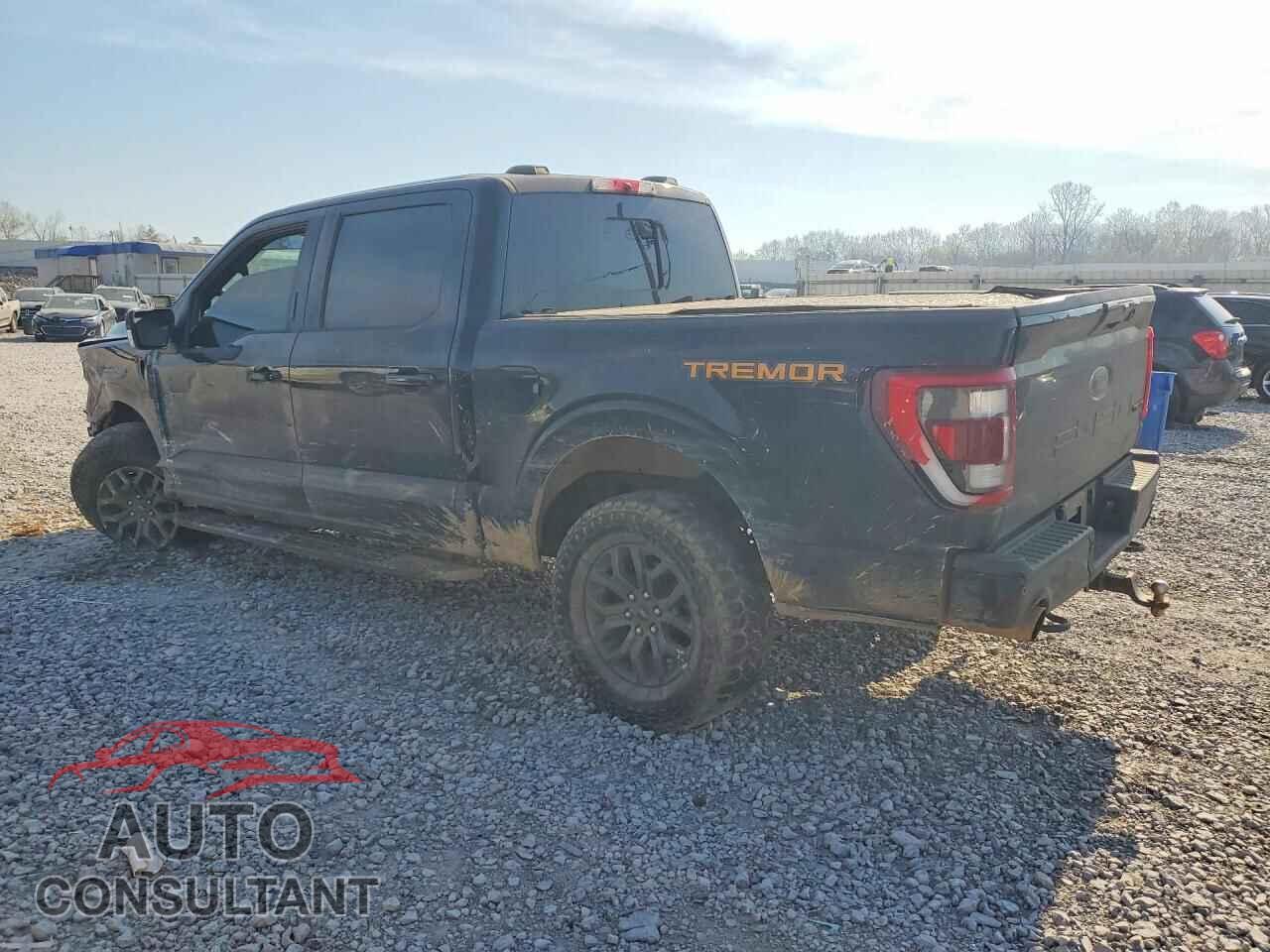 FORD F150 2021 - 1FTEW1E86MFC86237
