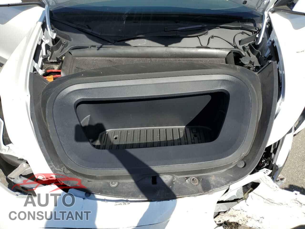 TESLA MODEL Y 2024 - 7SAYGDED1RF115290