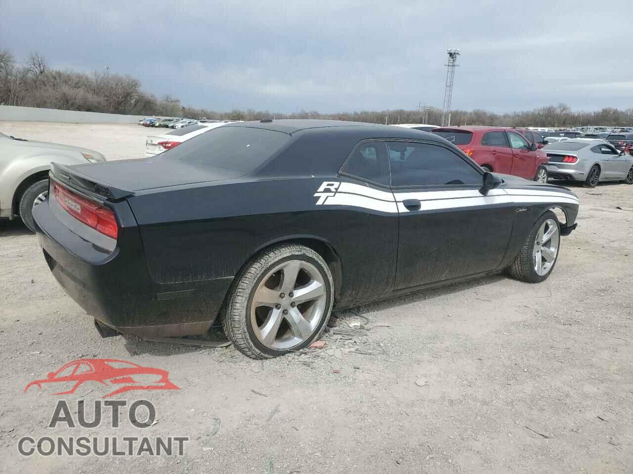 DODGE CHALLENGER 2013 - 2C3CDYAG7DH531245