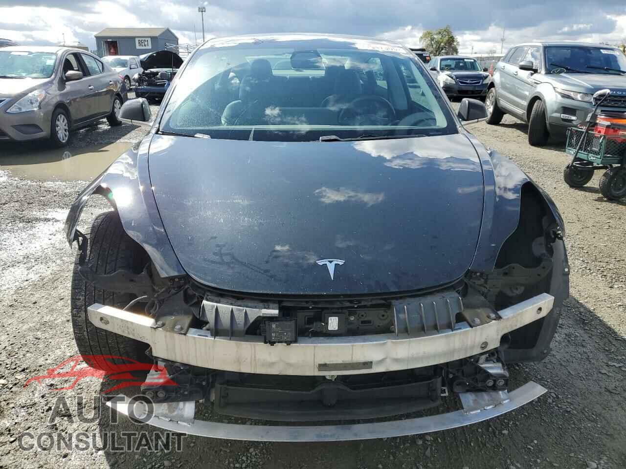 TESLA MODEL 3 2019 - 5YJ3E1EB3KF208747