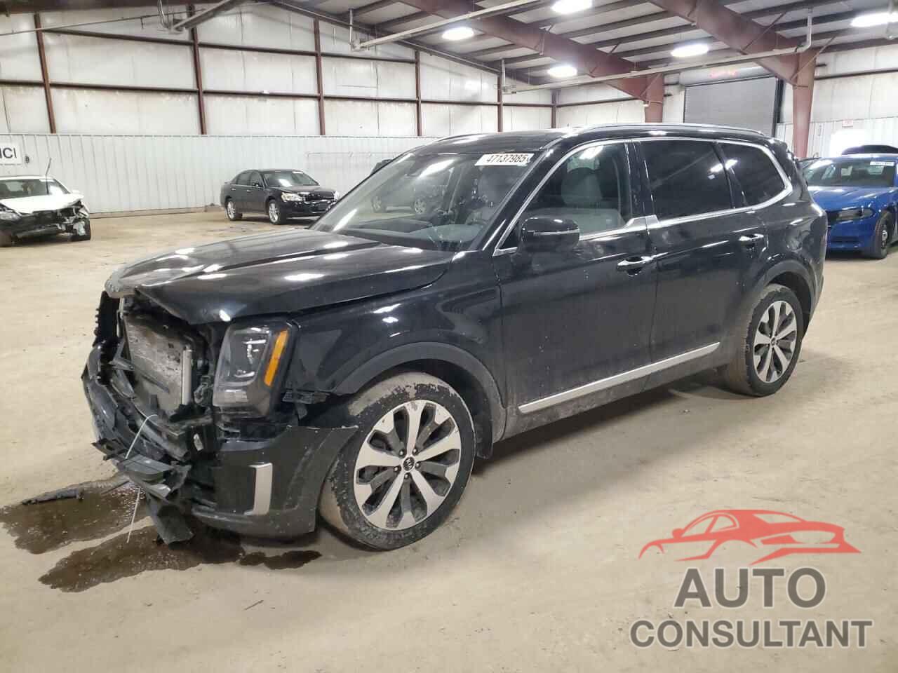 KIA TELLURIDE 2021 - 5XYP6DHCXMG108659