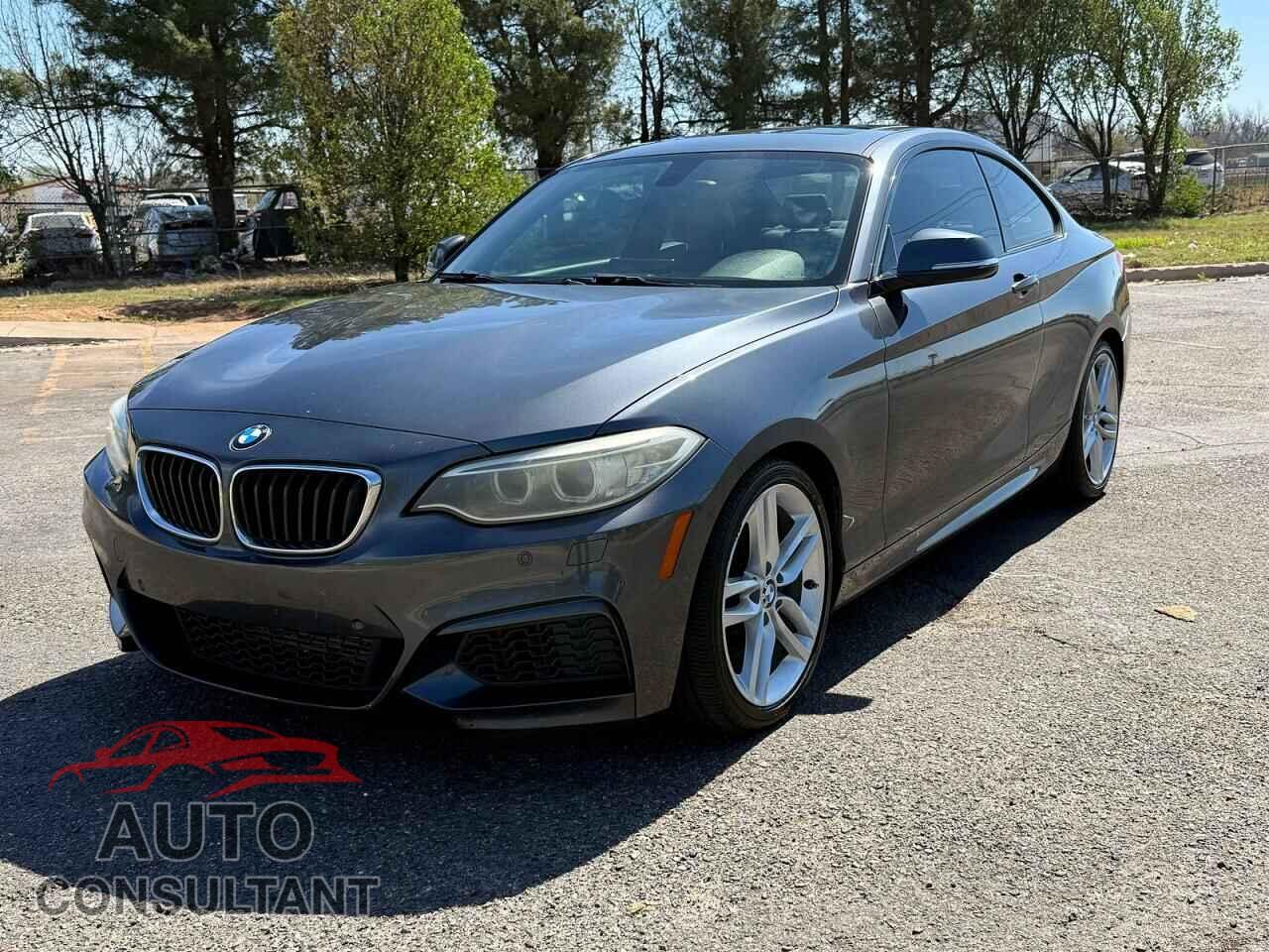BMW 2 SERIES 2014 - WBA1F5C51EV255559