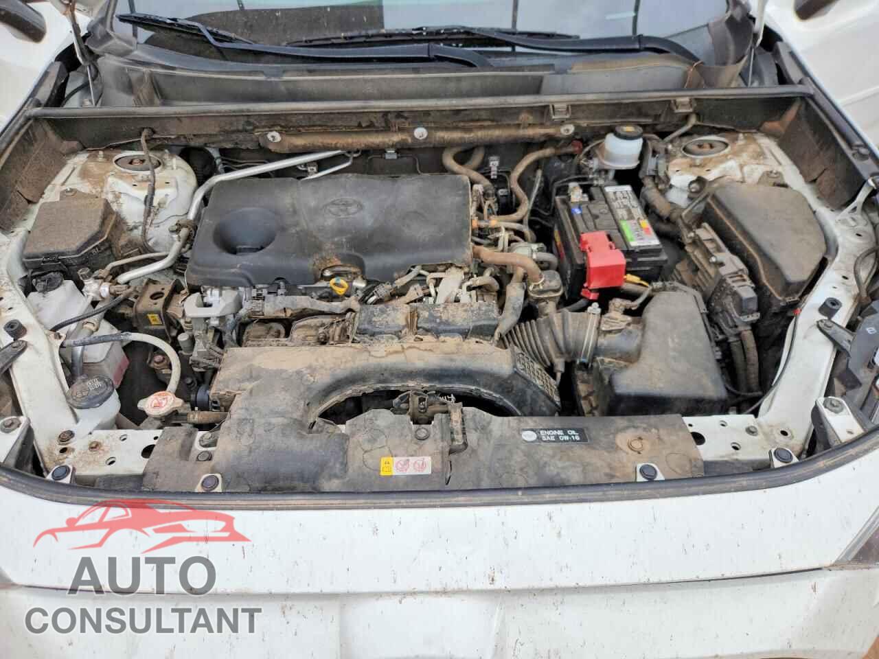 TOYOTA RAV4 2019 - JTMP1RFV2KD036559