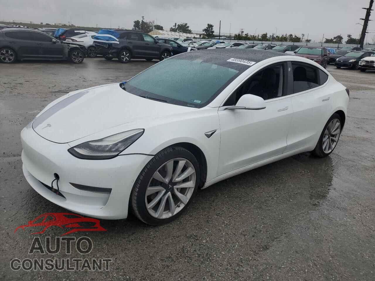 TESLA MODEL 3 2019 - 5YJ3E1EA8KF436444