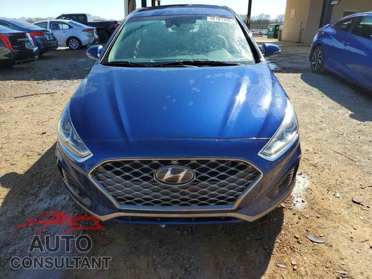 HYUNDAI SONATA 2019 - 5NPE34AF2KH772982