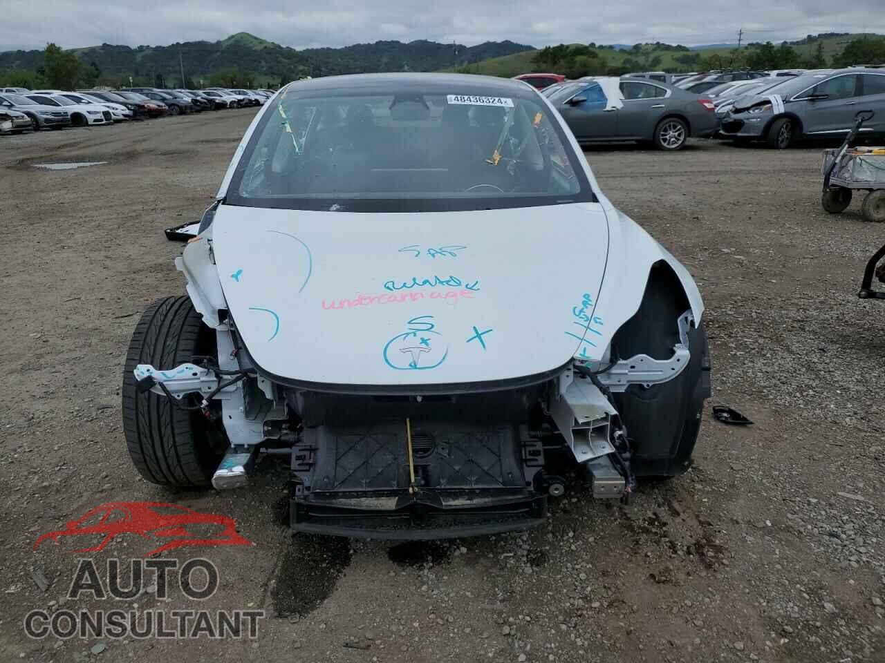 TESLA MODEL 3 2022 - 5YJ3E1EBXNF250899