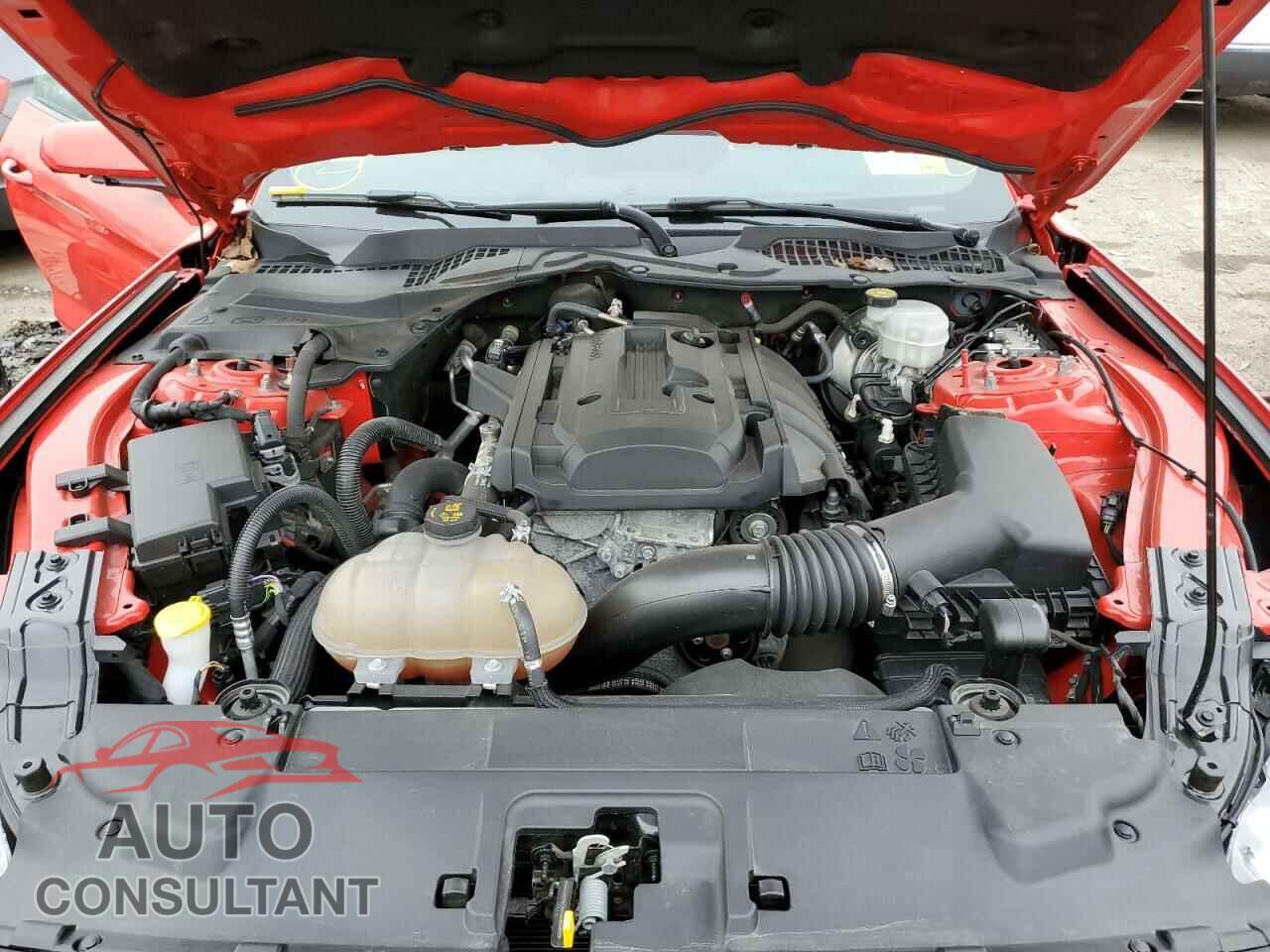 FORD MUSTANG 2019 - 1FA6P8TH4K5165955