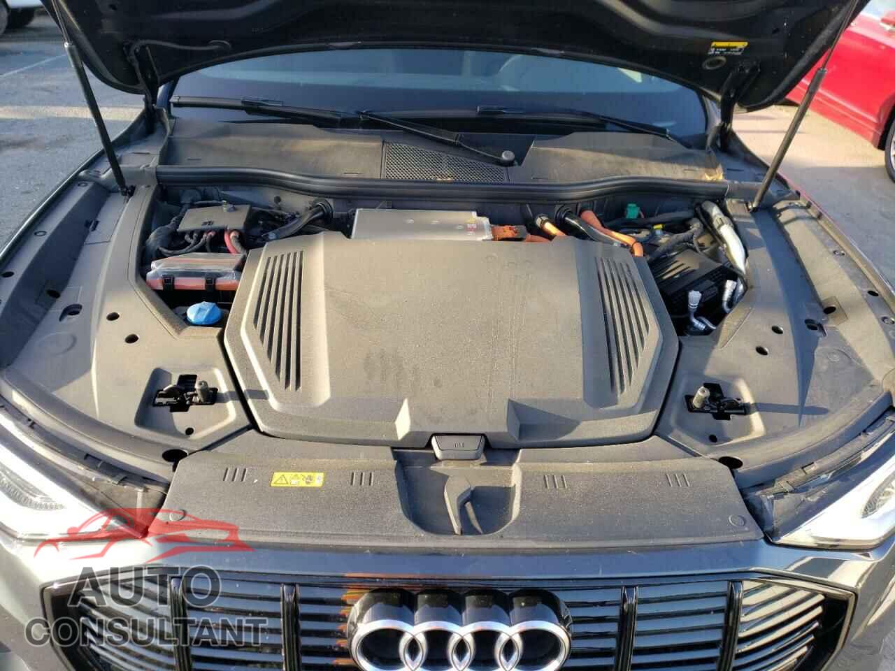 AUDI E-TRON 2022 - WA1LAAGE7NB008880