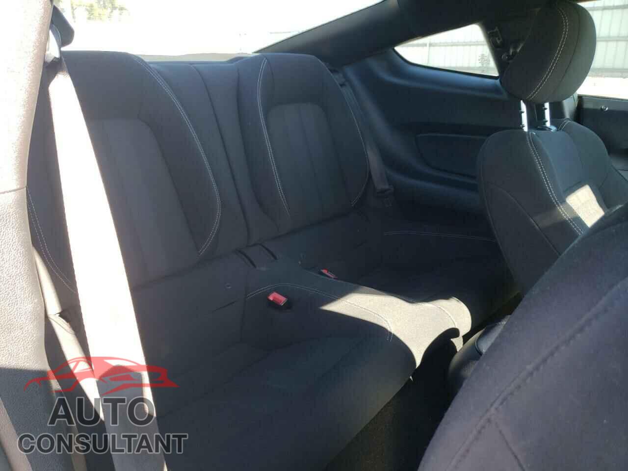 FORD MUSTANG 2019 - 1FA6P8CFXK5153744