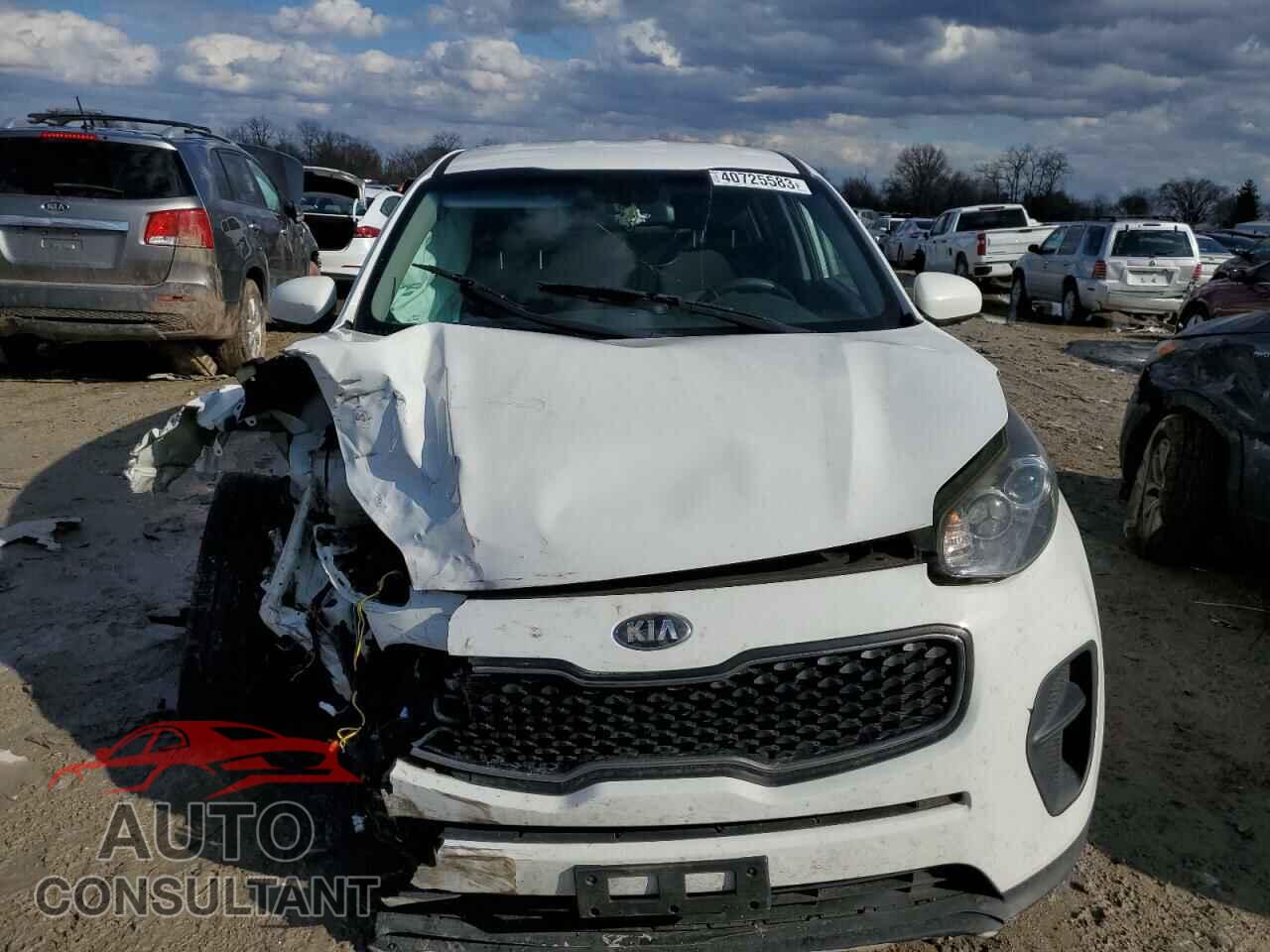 KIA SPORTAGE 2017 - KNDPM3AC2H7063892