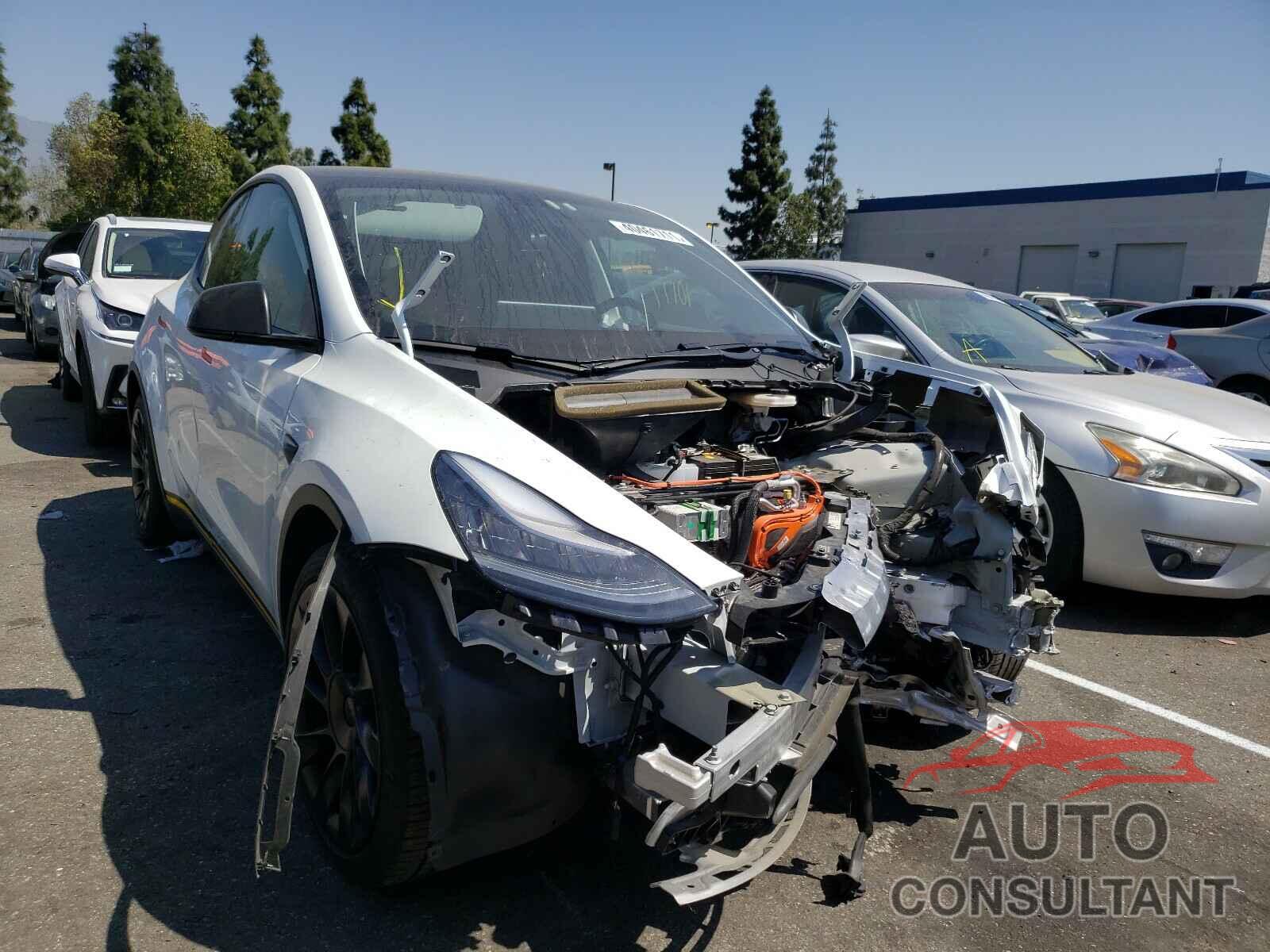 TESLA MODEL Y 2020 - 5YJYGDEE7LF041788