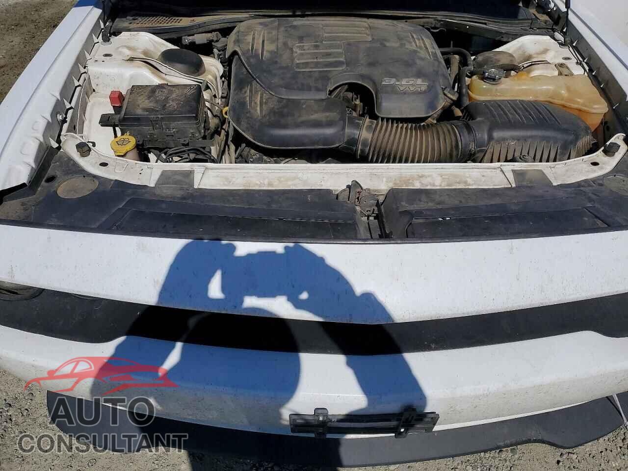 DODGE CHALLENGER 2017 - 2C3CDZAG3HH653919