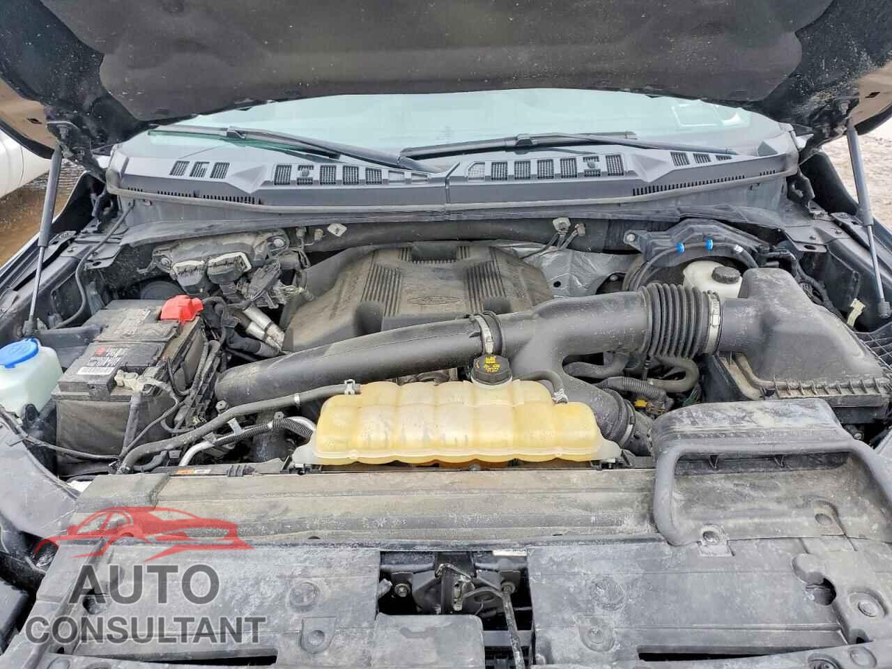 FORD F150 2019 - 1FTEW1E41KFB23554