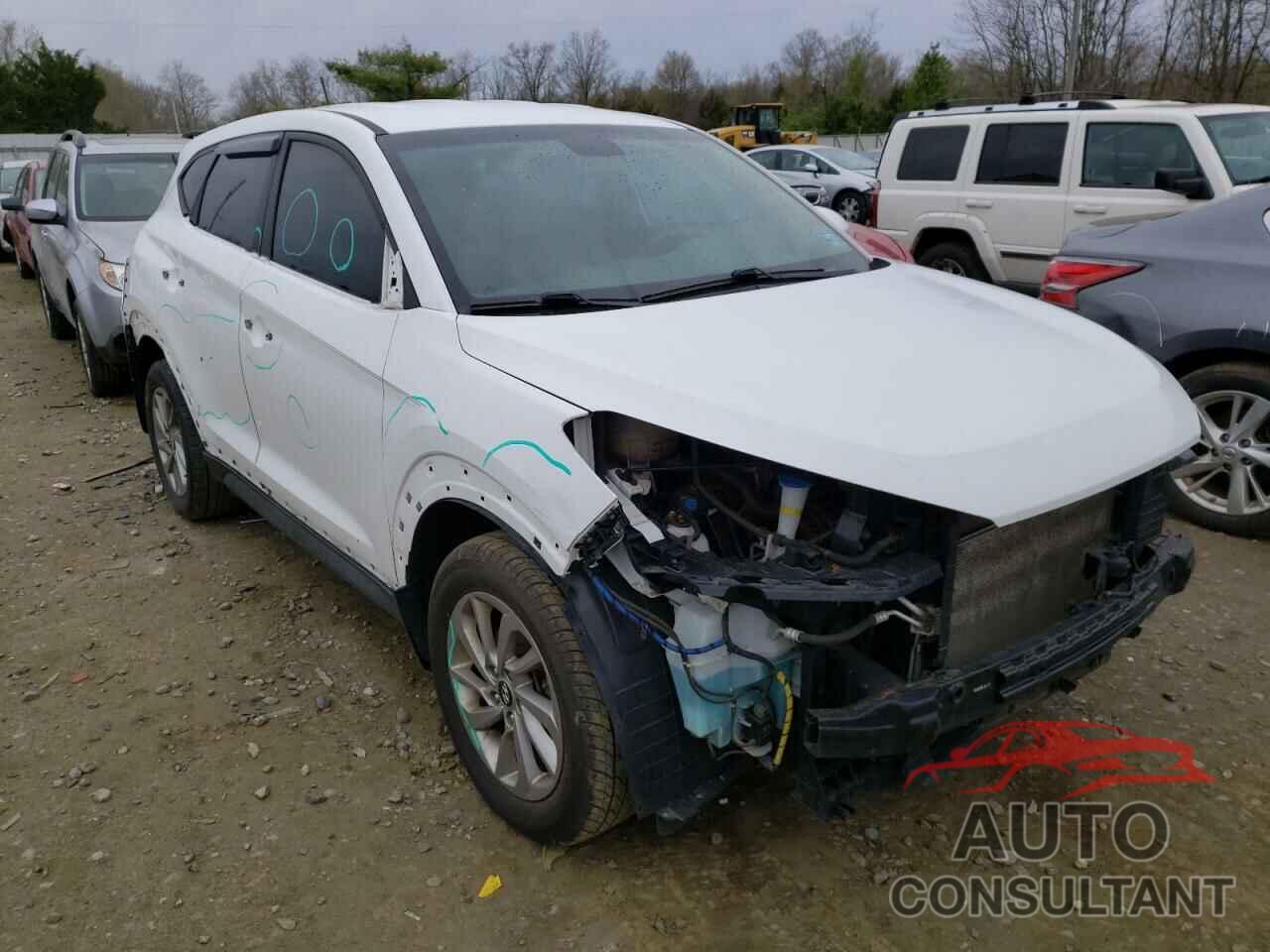 HYUNDAI TUCSON 2016 - KM8J23A44GU063313