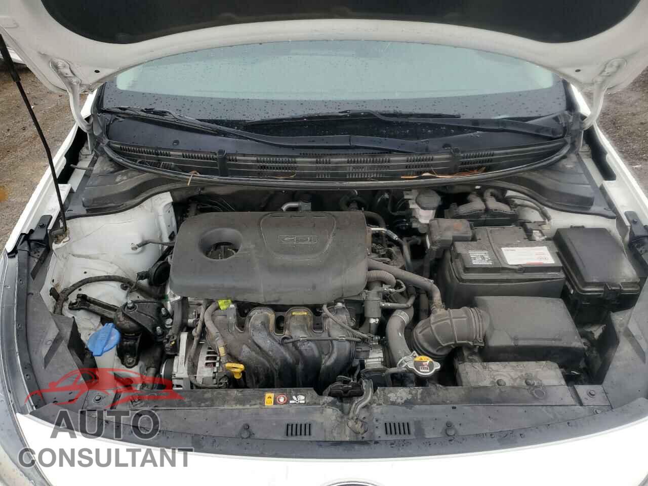 KIA RIO 2019 - 3KPA24AB0KE173341