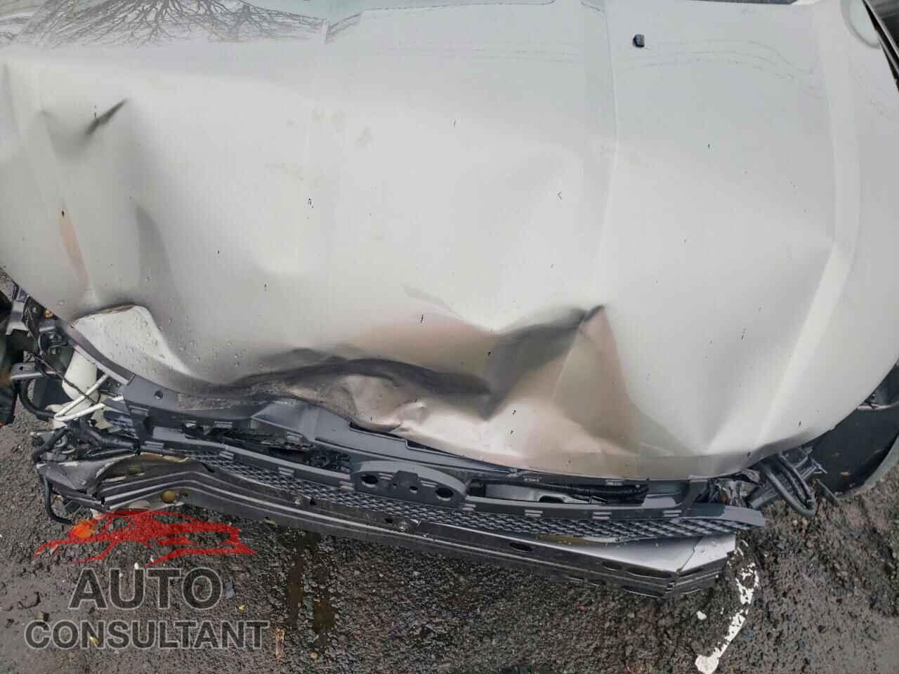 FORD FOCUS 2009 - 1FAHP35N19W212488