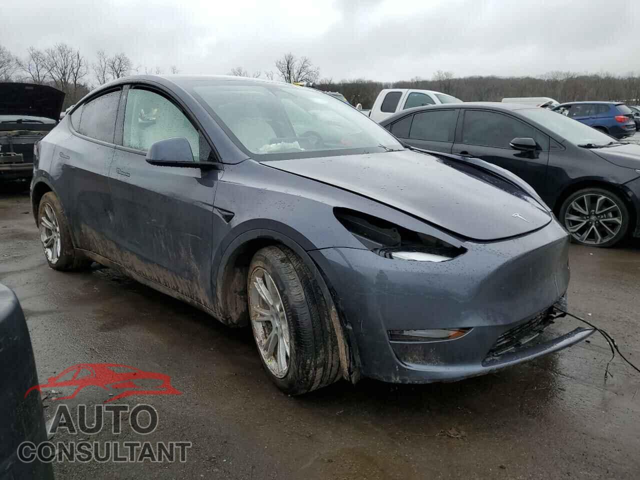 TESLA MODEL Y 2023 - 7SAYGDEE5PF636602