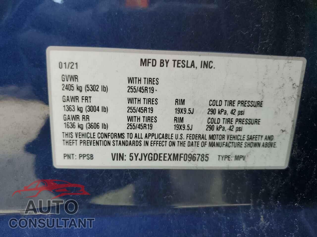 TESLA MODEL Y 2021 - 5YJYGDEEXMF096785