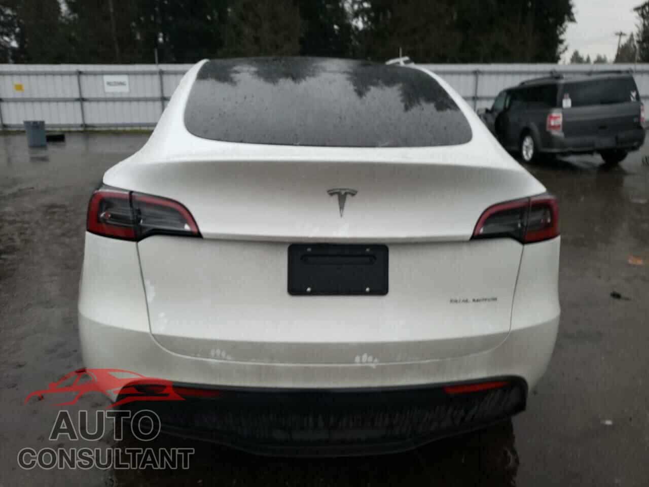 TESLA MODEL Y 2024 - 7SAYGDEE8RF193395