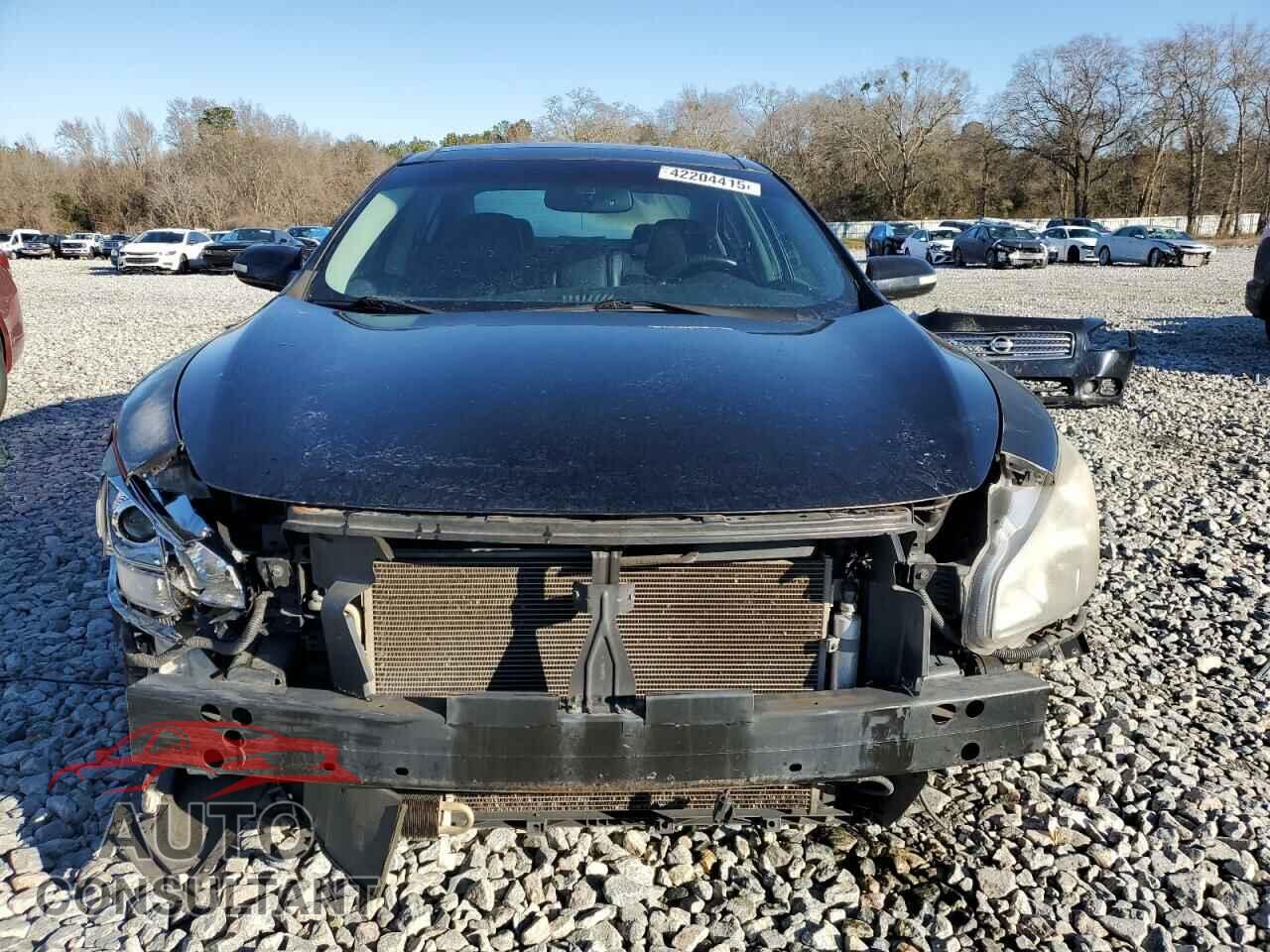 NISSAN MAXIMA 2009 - 1N4AA51E39C819028