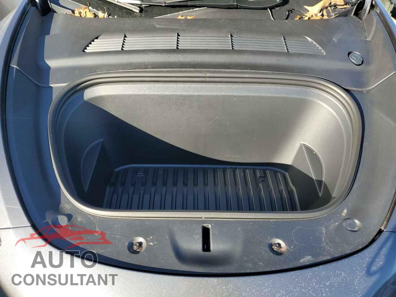 TESLA MODEL Y 2023 - 7SAYGDEE3PF849869
