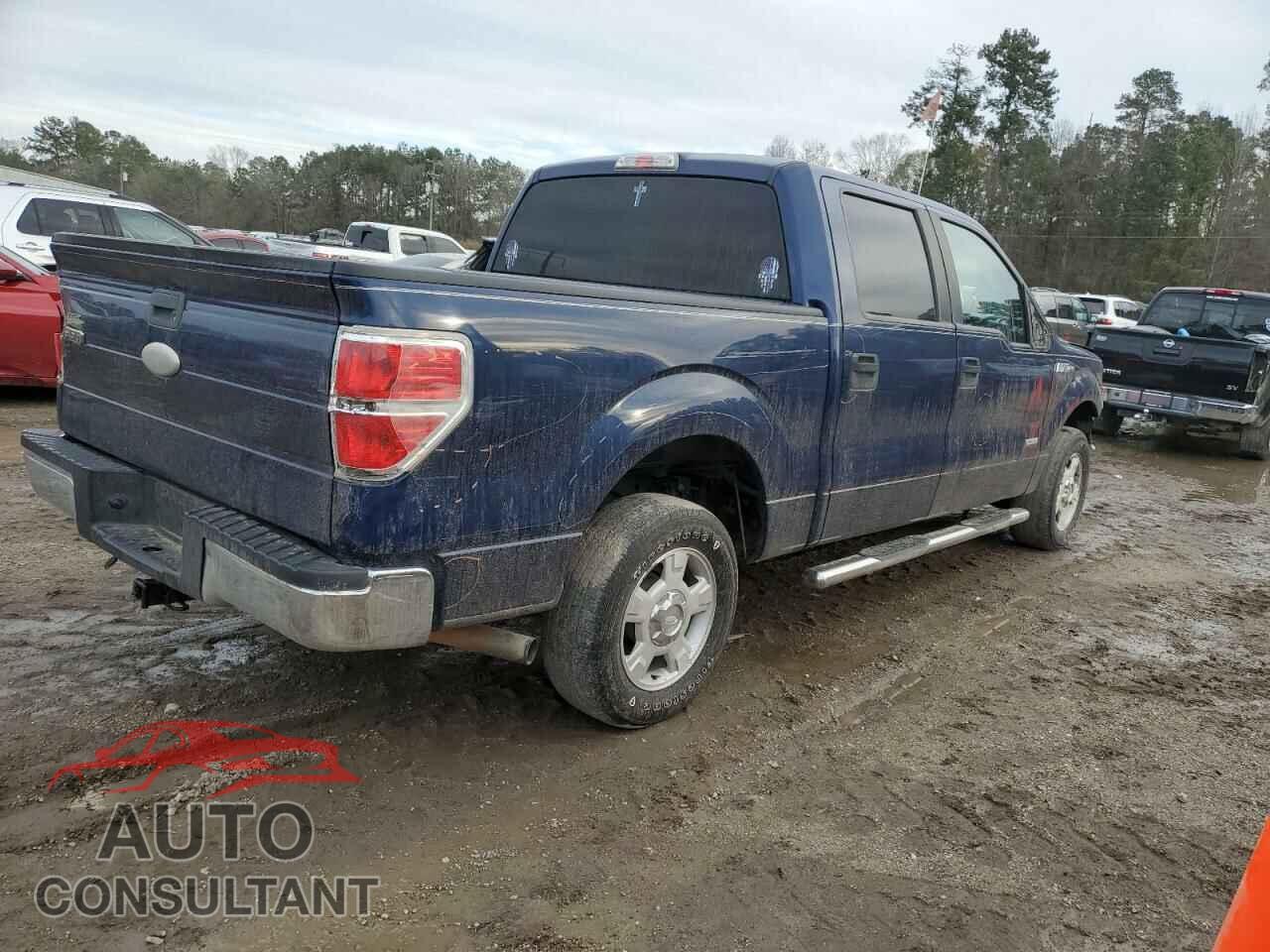 FORD F-150 2012 - 1FTFW1CTXCKD69333